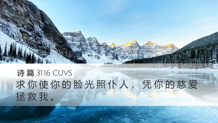 诗 篇 31:16 CUVS Bible Verse Image