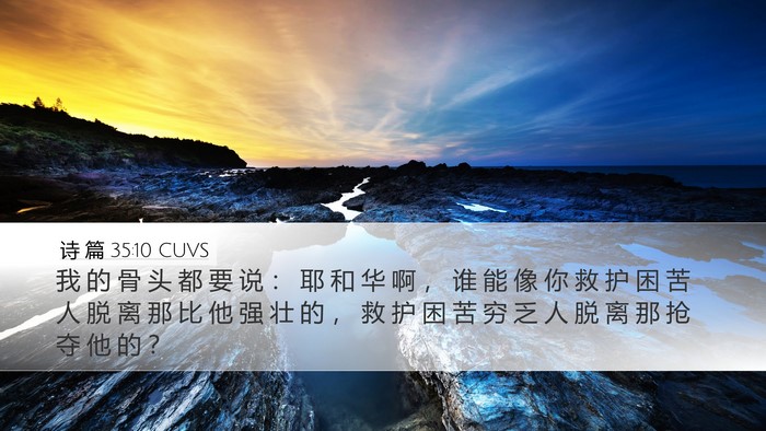 诗 篇 35:10 CUVS Bible Verse Image