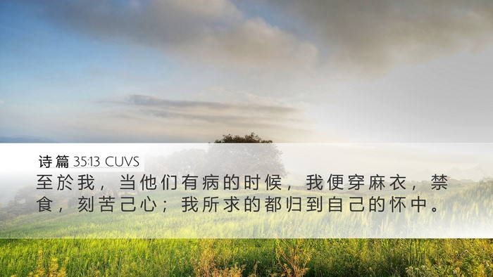 诗 篇 35:13 CUVS Bible Verse Image