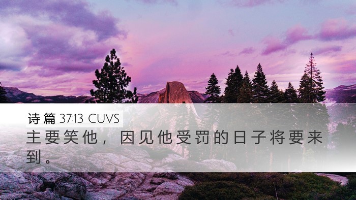 诗 篇 37:13 CUVS Bible Verse Image