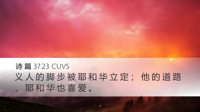 诗 篇 37:23 CUVS Bible Verse Image