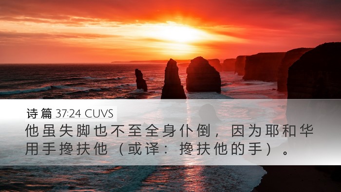 诗 篇 37:24 CUVS Bible Verse Image
