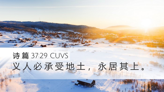 诗 篇 37:29 CUVS Bible Verse Image