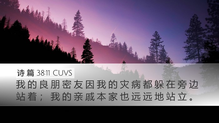 诗 篇 38:11 CUVS Bible Verse Image