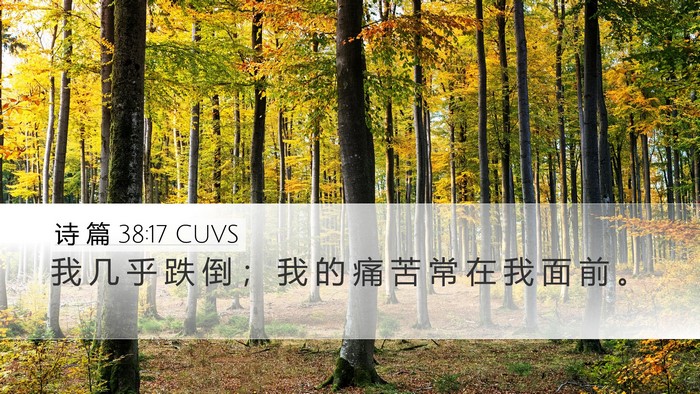诗 篇 38:17 CUVS Desktop Wallpaper - 我 几 乎 跌 倒 ； 我 的 痛 苦 常 在 - Desktop Bible Verse Wallpaper