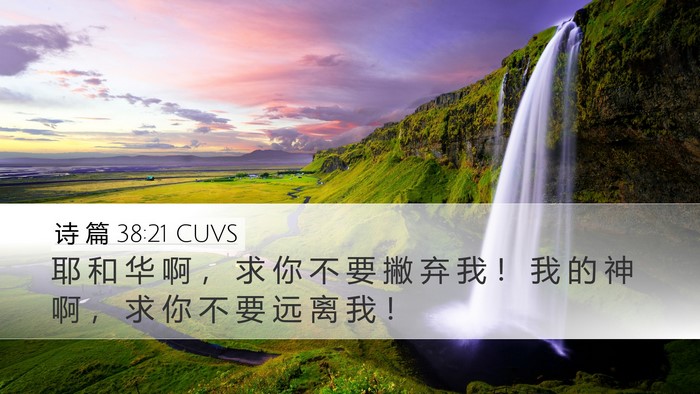 诗 篇 38:21 CUVS Bible Verse Image