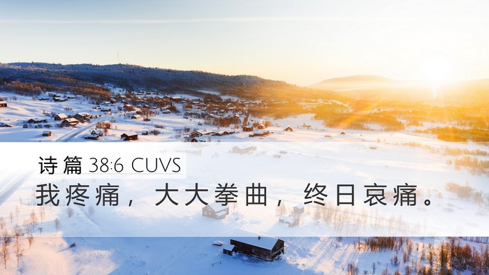 诗 篇 38:6 CUVS Bible Verse Image