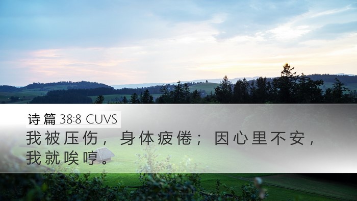 诗 篇 38:8 CUVS Bible Verse Image