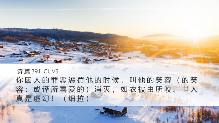 诗 篇 39:11 CUVS Bible Verse Image
