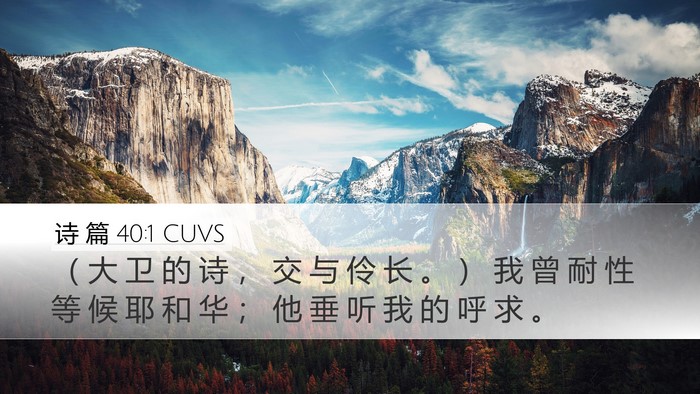 诗 篇 40:1 CUVS Bible Verse Image