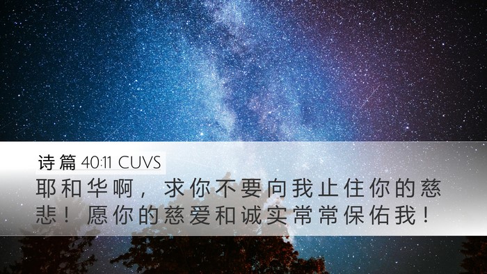 诗 篇 40:11 CUVS Bible Verse Image