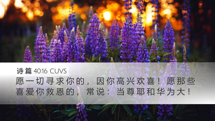 诗 篇 40:16 CUVS Bible Verse Image
