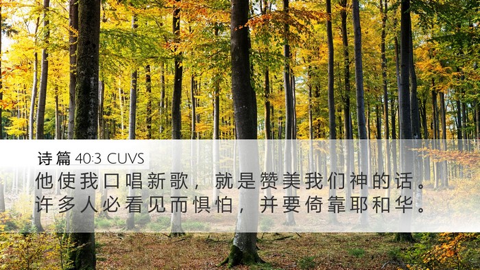 诗 篇 40:3 CUVS Desktop Wallpaper - 他 使 我 口 唱 新 歌 ， 就 是 赞 美 - Desktop Bible Verse Wallpaper