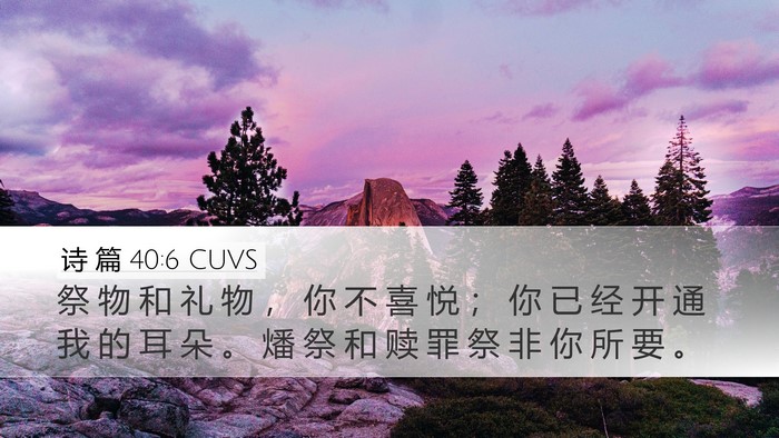 诗 篇 40:6 CUVS Bible Verse Image