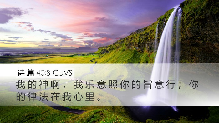 诗 篇 40:8 CUVS Bible Verse Image