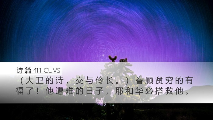 诗 篇 41:1 CUVS Bible Verse Image