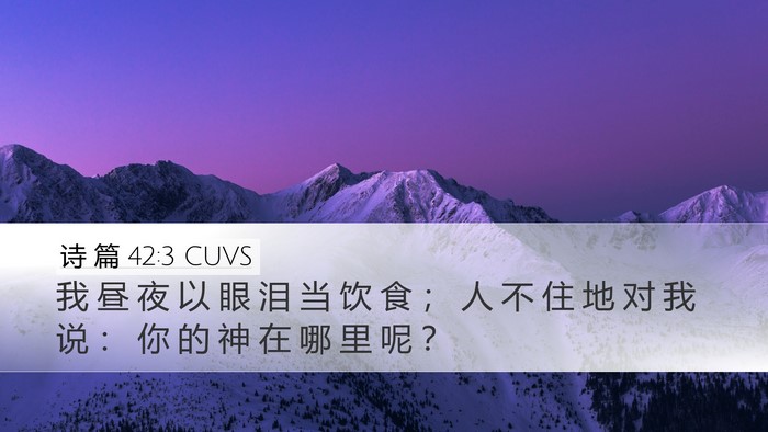 诗 篇 42:3 CUVS Bible Verse Image