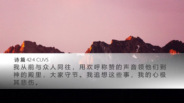 诗 篇 42:4 CUVS Bible Verse Image