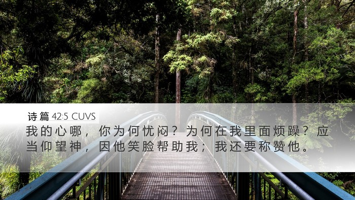 诗 篇 42:5 CUVS Bible Verse Image