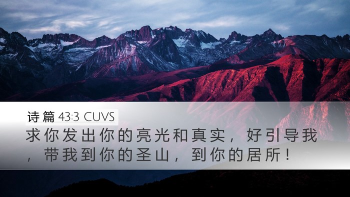 诗 篇 43:3 CUVS Bible Verse Image
