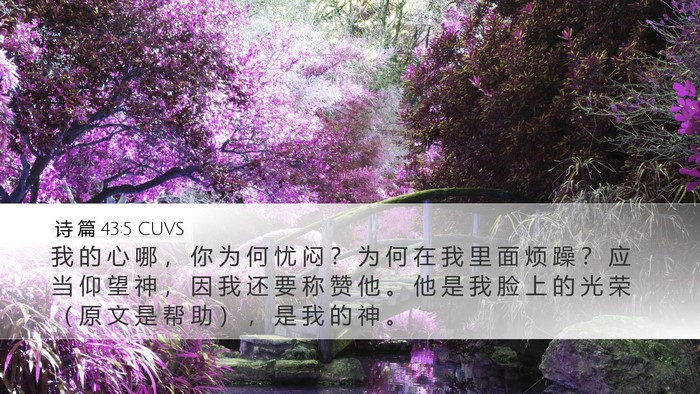 诗 篇 43:5 CUVS Bible Verse Image
