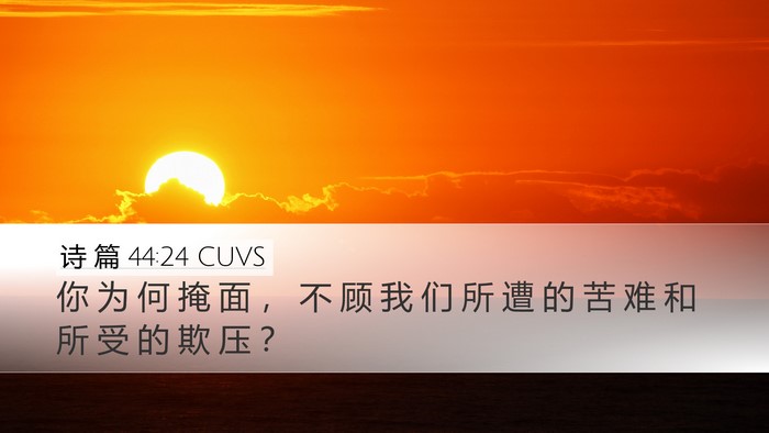 诗 篇 44:24 CUVS Bible Verse Image