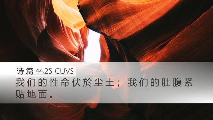诗 篇 44:25 CUVS Bible Verse Image