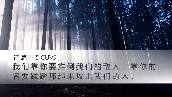 诗 篇 44:5 CUVS Bible Verse Image