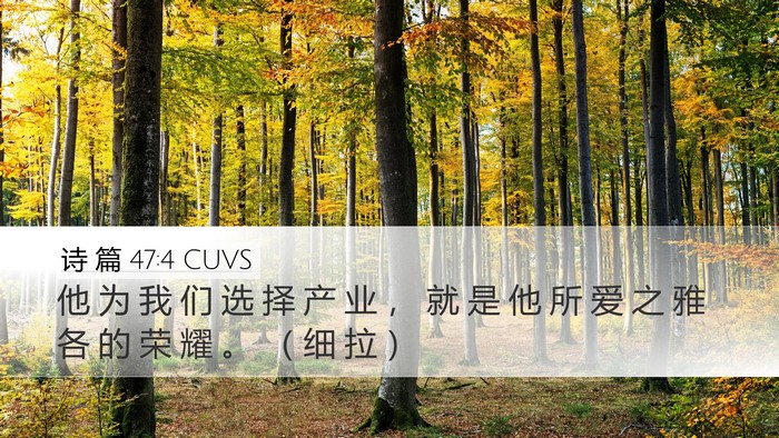 诗 篇 47:4 CUVS Bible Verse Image