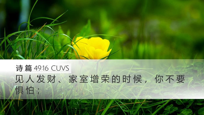 诗 篇 49:16 CUVS Bible Verse Image