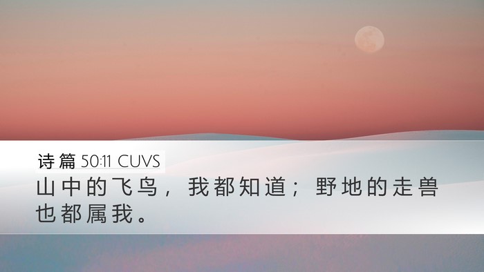 诗 篇 50:11 CUVS Desktop Wallpaper - 山 中 的 飞 鸟 ， 我 都 知 道 ； 野 - Desktop Bible Verse Wallpaper