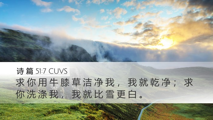 诗 篇 51:7 CUVS Bible Verse Image