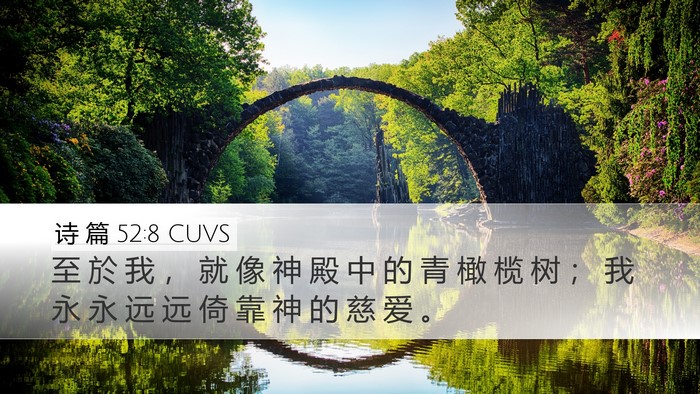 诗 篇 52:8 CUVS Bible Verse Image