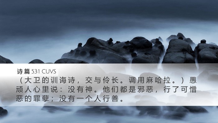 诗 篇 53:1 CUVS Bible Verse Image
