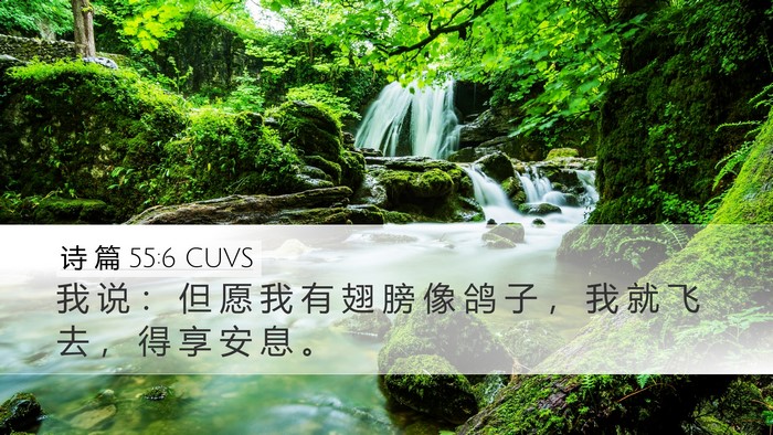 诗 篇 55:6 CUVS Bible Verse Image