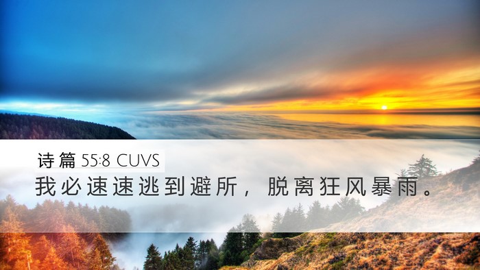 诗 篇 55:8 CUVS Desktop Wallpaper - 我 必 速 速 逃 到 避 所 ， 脱 离 狂 - Desktop Bible Verse Wallpaper