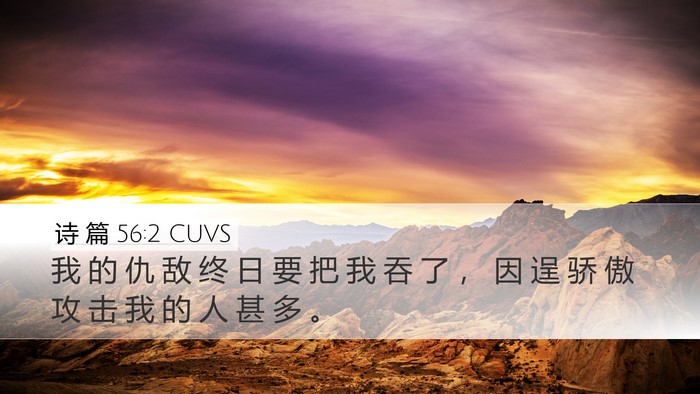 诗 篇 56:2 CUVS Bible Verse Image