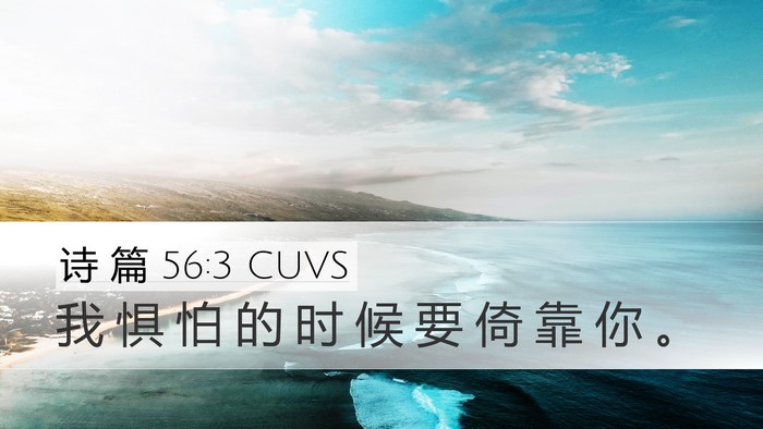 诗 篇 56:3 CUVS Bible Verse Image