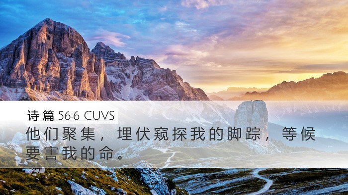 诗 篇 56:6 CUVS Bible Verse Image