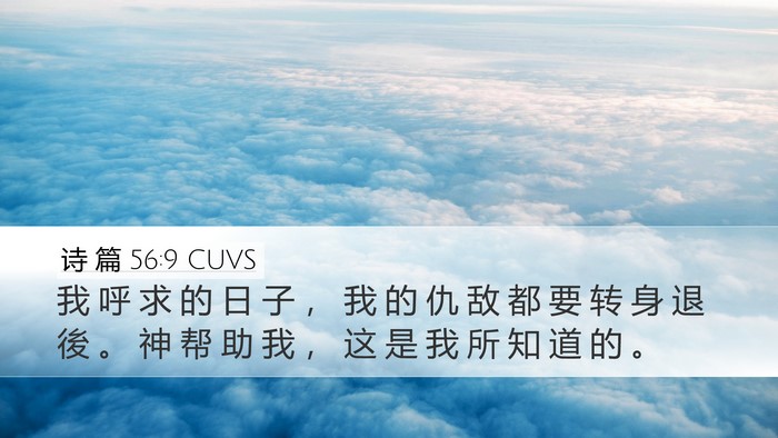 诗 篇 56:9 CUVS Bible Verse Image
