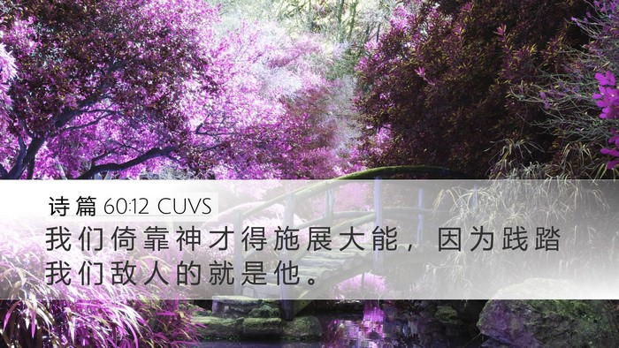 诗 篇 60:12 CUVS Bible Verse Image