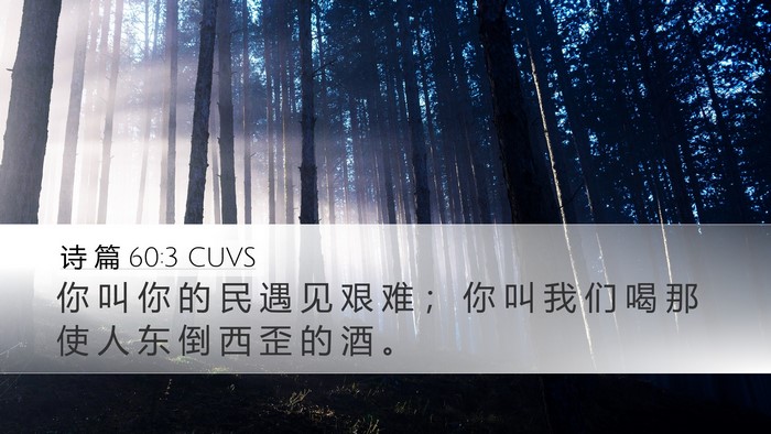 诗 篇 60:3 CUVS Desktop Wallpaper - 你 叫 你 的 民 遇 见 艰 难 ； 你 叫 - Desktop Bible Verse Wallpaper