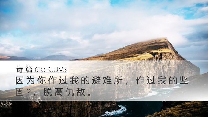 诗 篇 61:3 CUVS Bible Verse Image