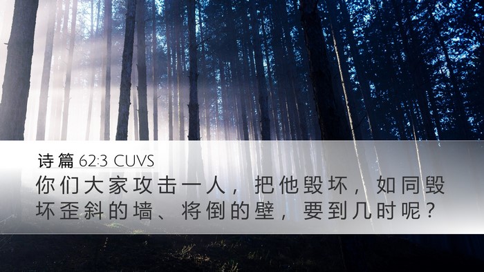 诗 篇 62:3 CUVS Bible Verse Image