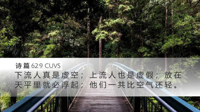 诗 篇 62:9 CUVS Bible Verse Image
