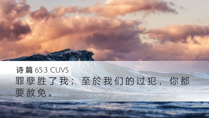 诗 篇 65:3 CUVS Desktop Wallpaper - 罪 孽 胜 了 我 ； 至 於 我 们 的 过 - Desktop Bible Verse Wallpaper