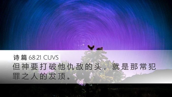 诗 篇 68:21 CUVS Desktop Wallpaper - 但 神 要 打 破 他 仇 敌 的 头 ， 就 - Desktop Bible Verse Wallpaper