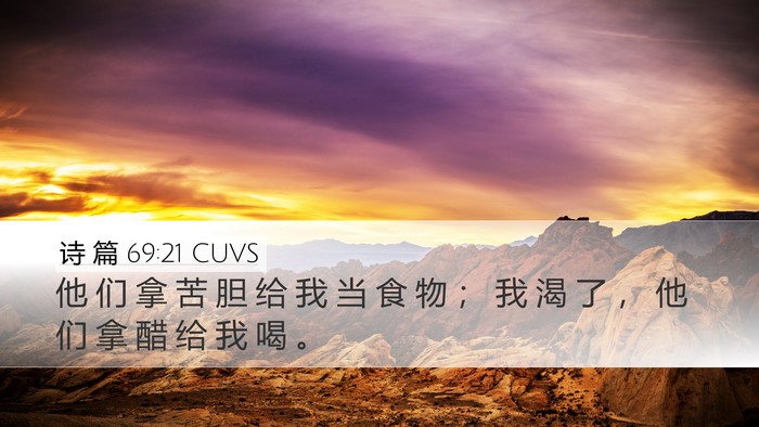 诗 篇 69:21 CUVS Bible Verse Image