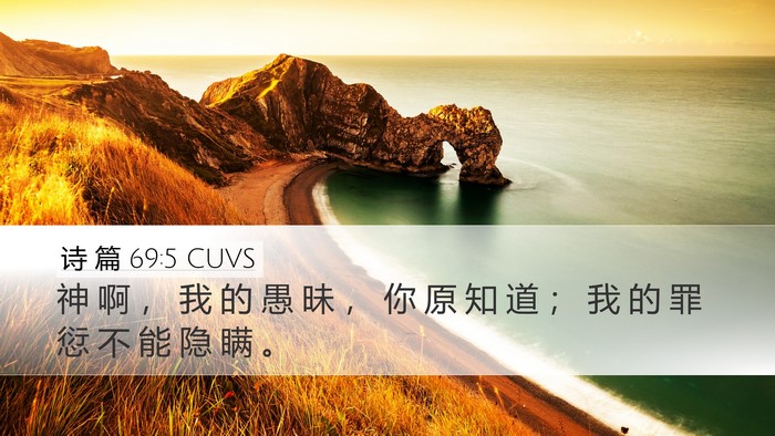 诗 篇 69:5 CUVS Desktop Wallpaper - 神 啊 ， 我 的 愚 昧 ， 你 原 知 道 - Desktop Bible Verse Wallpaper