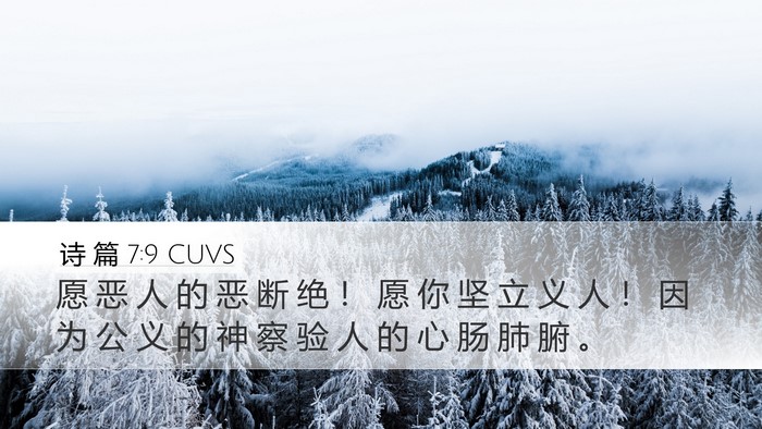 诗 篇 7:9 CUVS Bible Verse Image